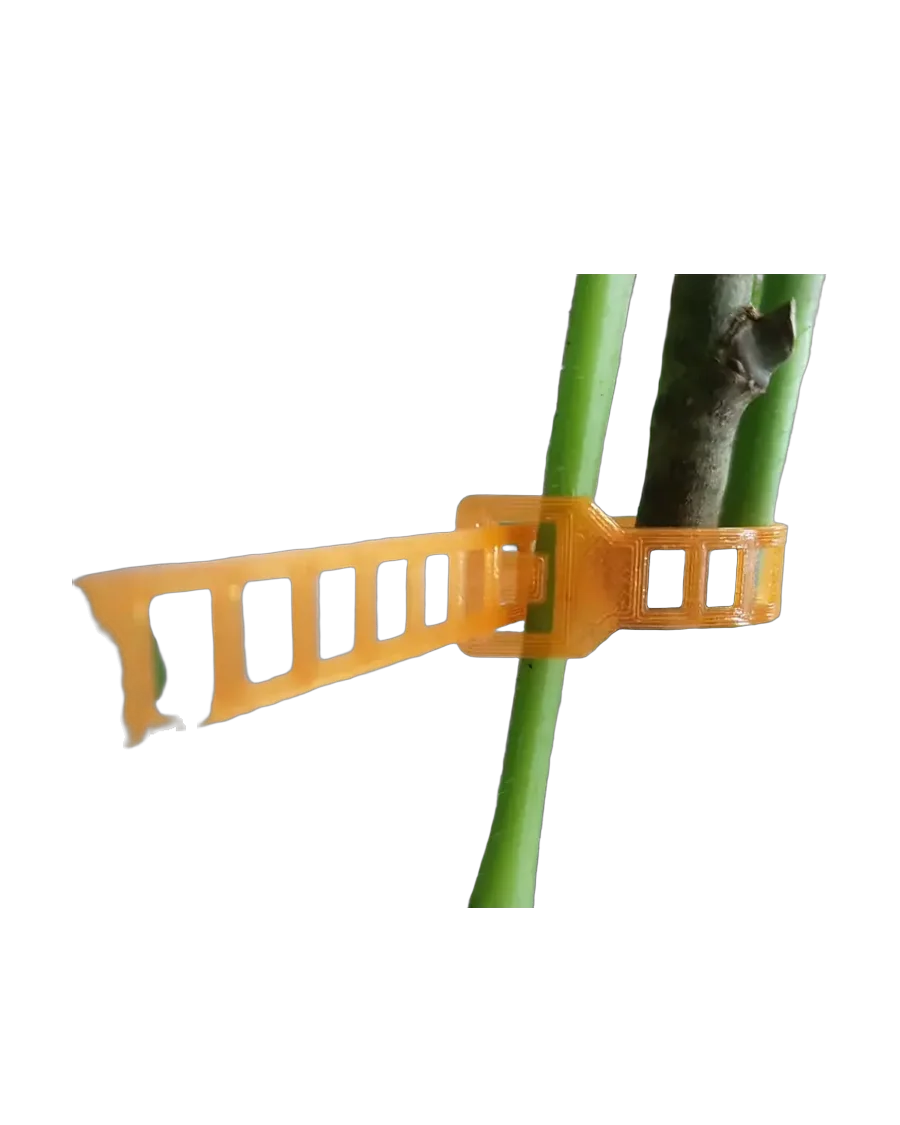 Cinta sujetadora para plantas
