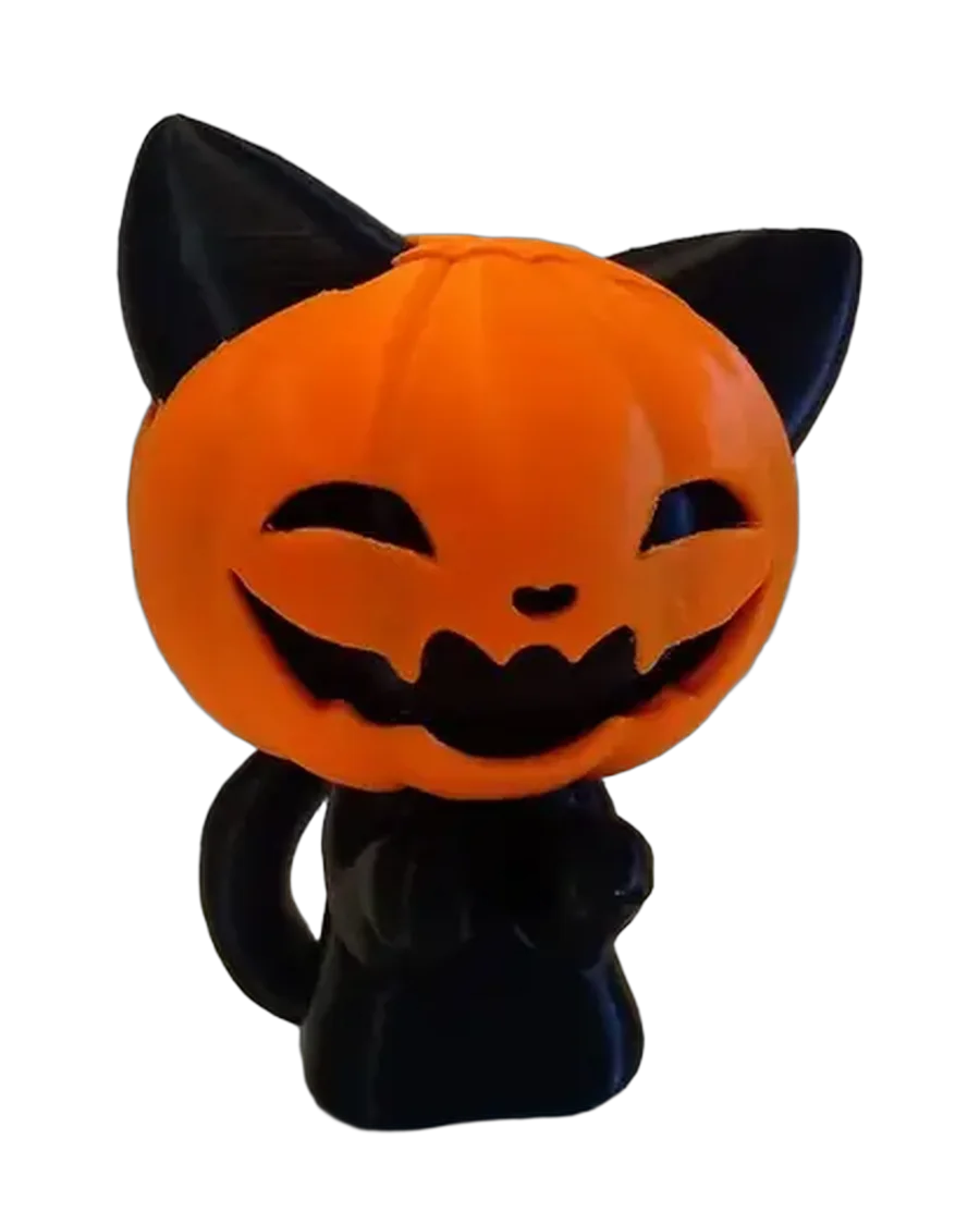 Gato calabaza