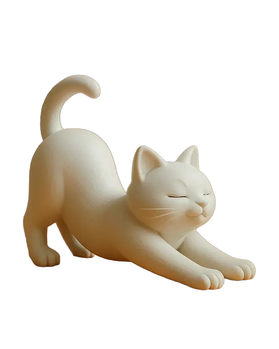 Gato estirándose