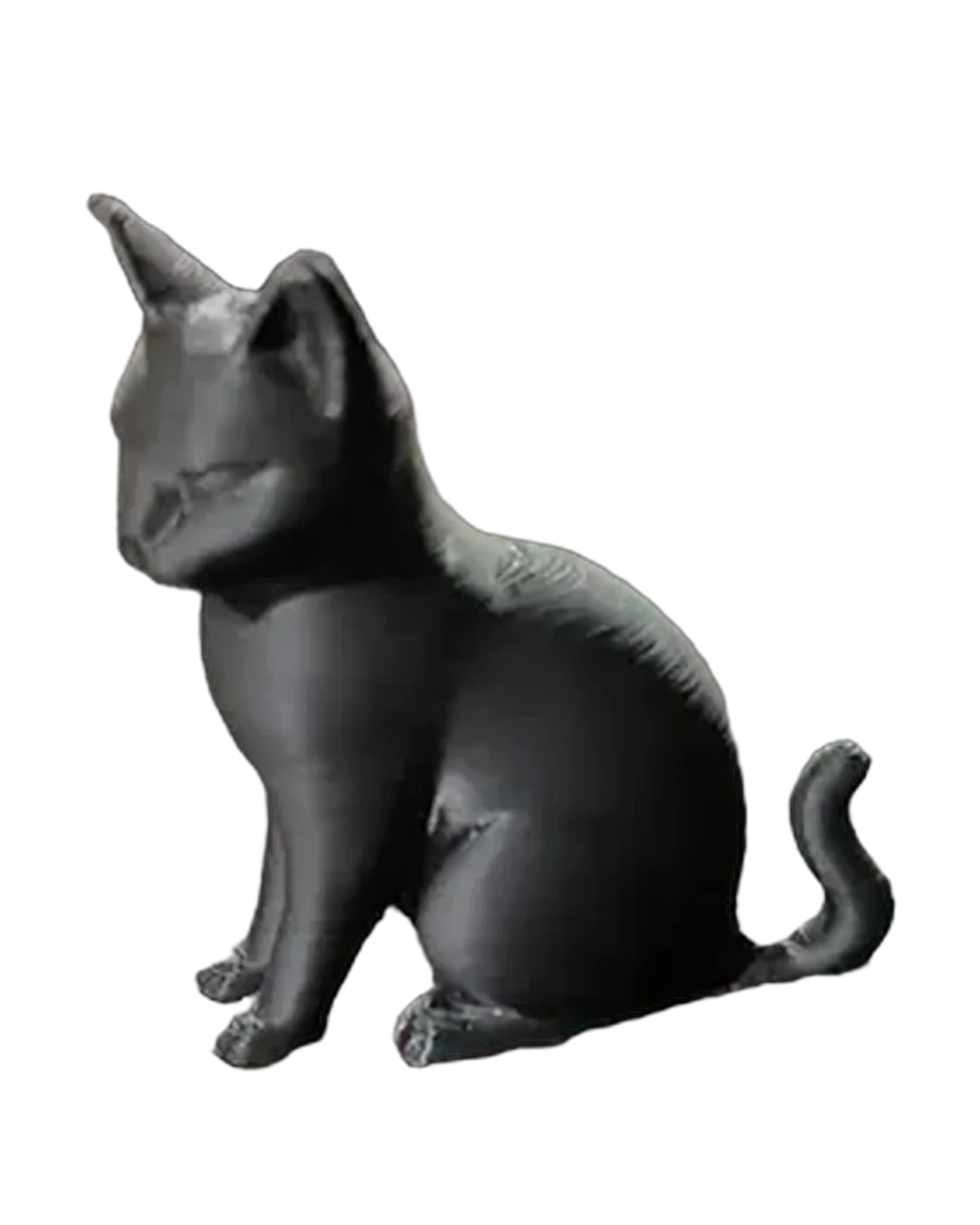 Gato negro moderno