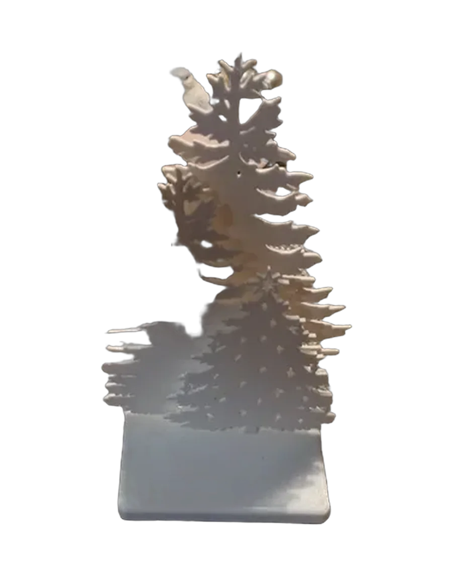 Paisaje de pinos con luz