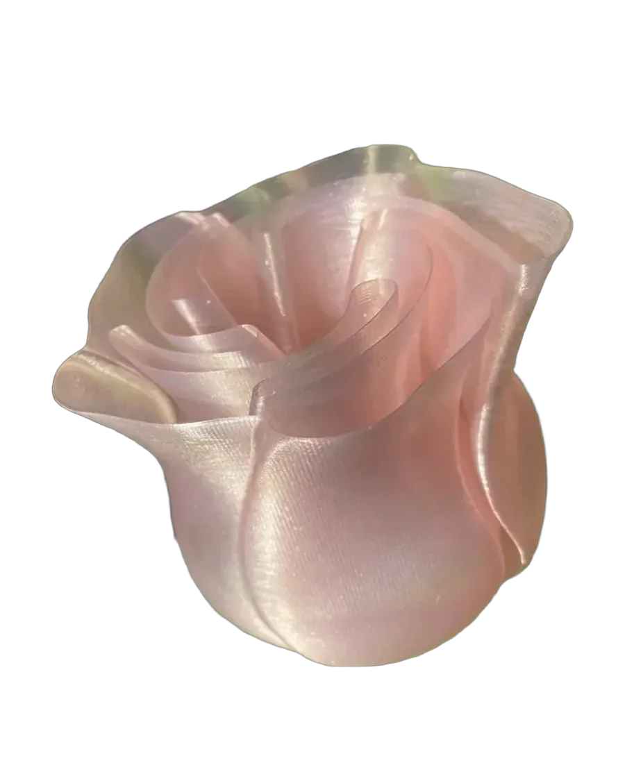 Rosa decorativa