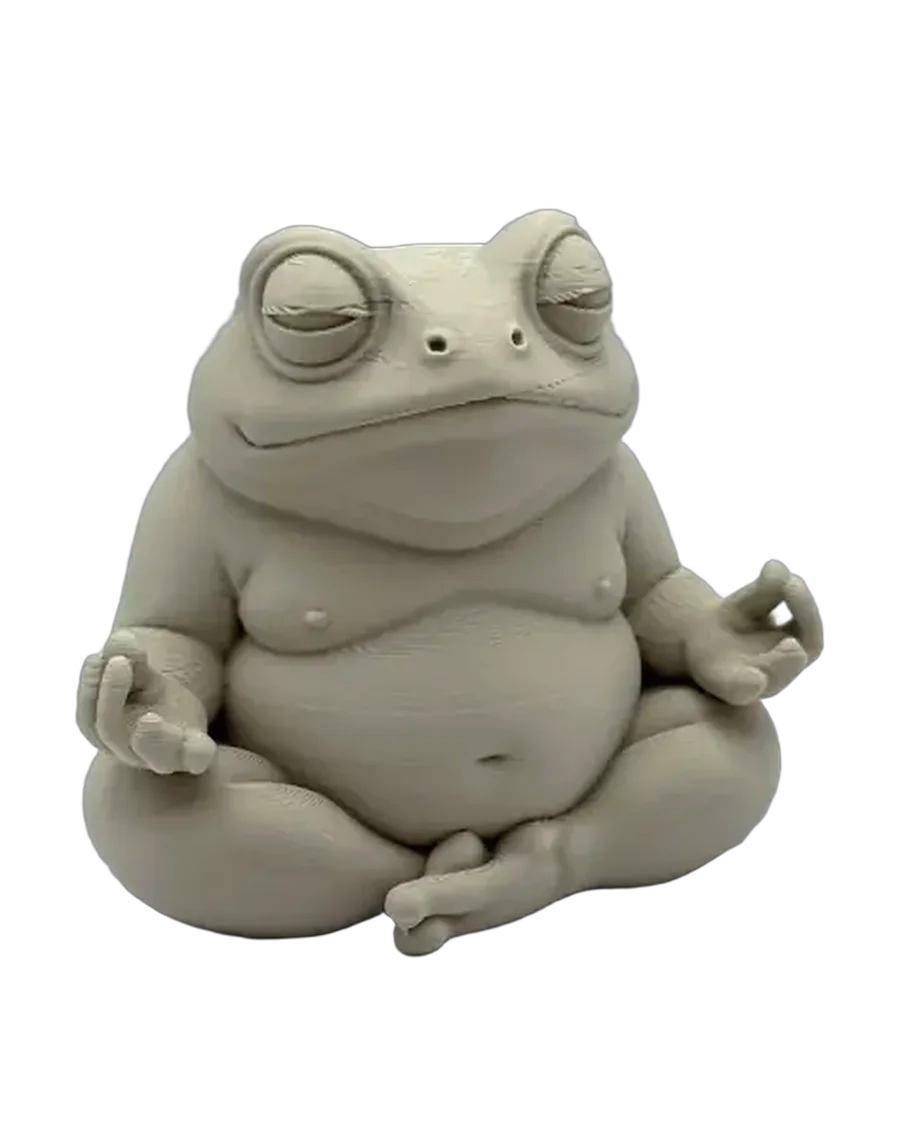 Sapo zen meditando